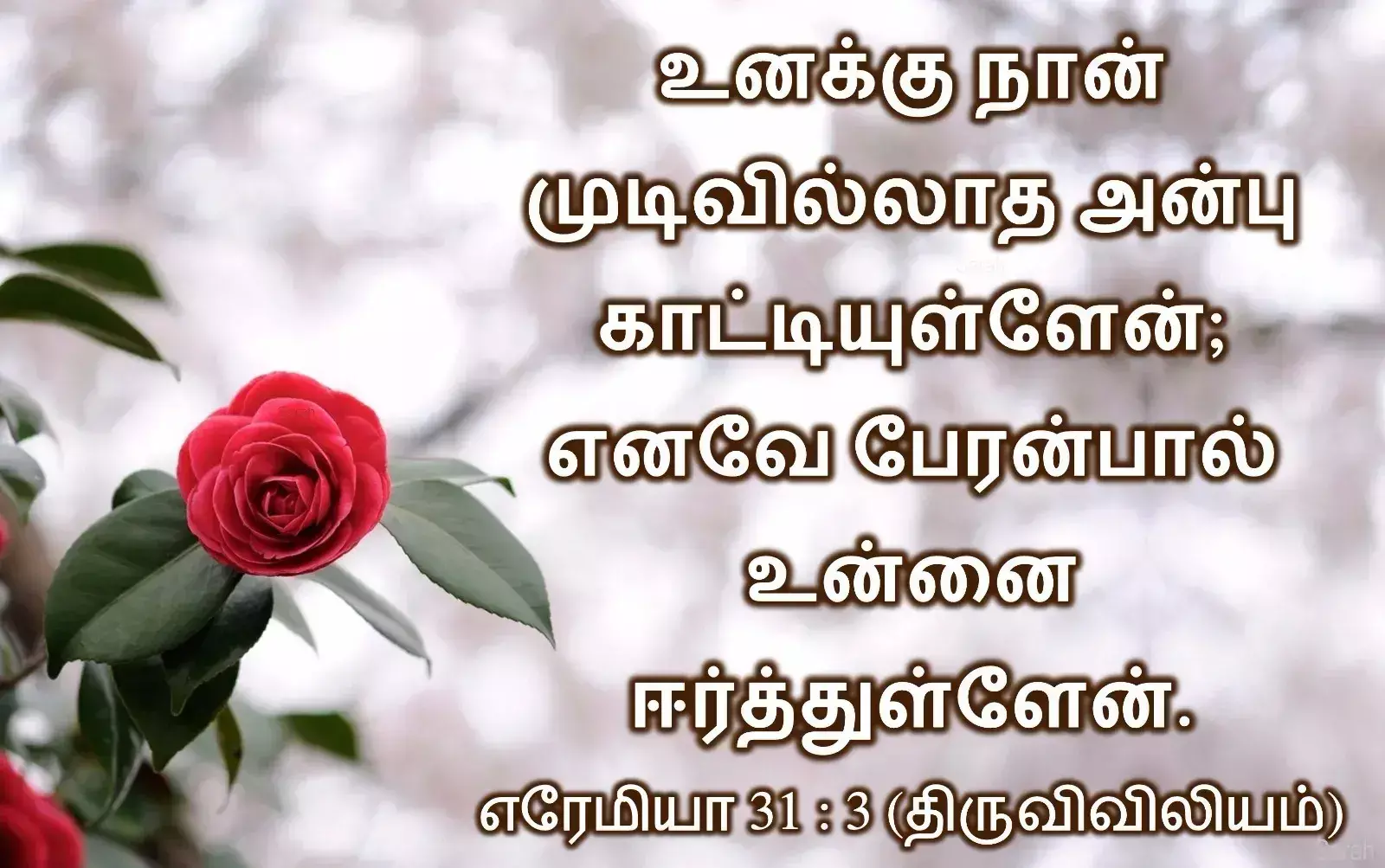 blessing bible verses in tamil
